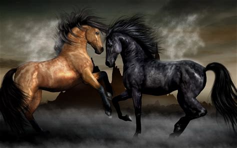 300,000+ of the Best HD Horse Wallpapers for Free .